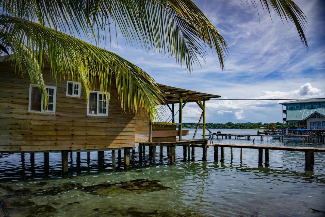 Hostal On The Sea Bocas Town Ngoại thất bức ảnh
